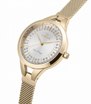 5361d1fbc07e11539ec50fab45c44b5d